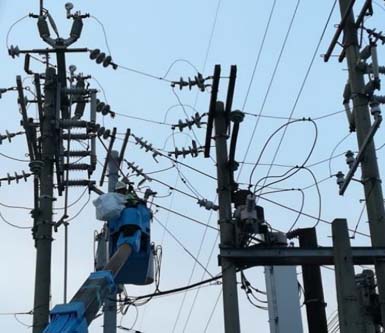 ADM Feeds Electrical Installtion by Energy Network