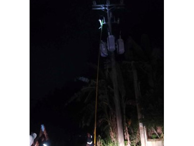 Energy Network Portfolio