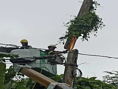 Energy Network Portfolio