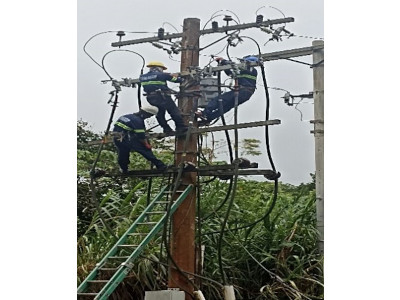 Energy Network Portfolio