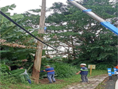 Energy Network Portfolio