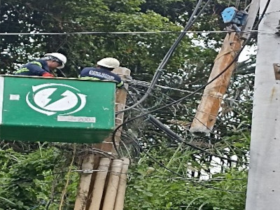 Energy Network Portfolio