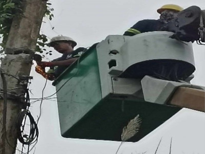 Energy Network Portfolio