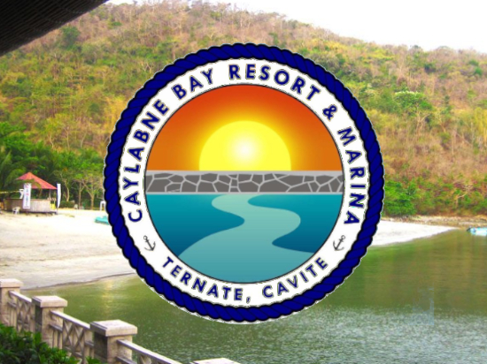 Energy Network Clients